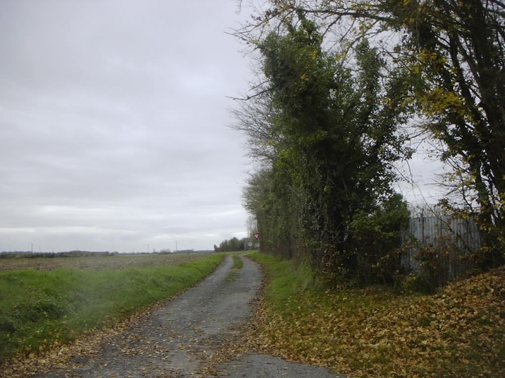 Chemin de la Fontenelle depuis la rue du Péré - Aigrefeuille-d'Aunis