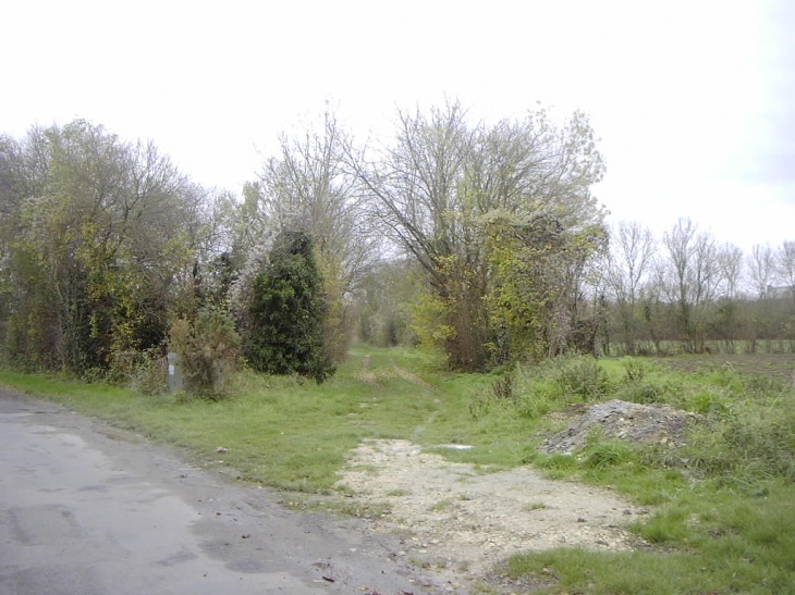 Chemin dans la rue du Péré - Aigrefeuille-d'Aunis