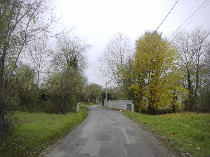 Rue du Péré en allant vers la route de Puyvineux - Aigrefeuille-d'Aunis