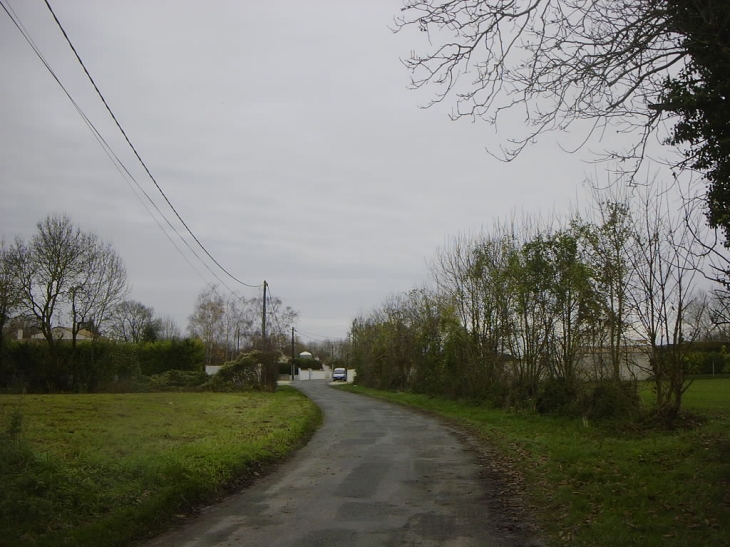 Rue du Péré en allant vers la rue des Ormes - Aigrefeuille-d'Aunis