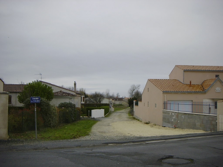 Chemin des Ecoliers dans l'avenue des Marronniers - Aigrefeuille-d'Aunis