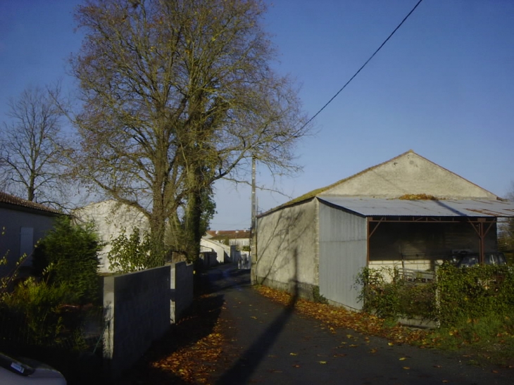 Rue du Cormier depuis la rue Godinet - Aigrefeuille-d'Aunis