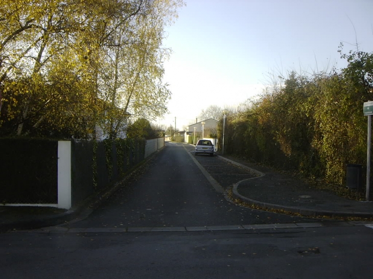 Rue de l'Agrifolium depuis la rue des Ecoles - Aigrefeuille-d'Aunis