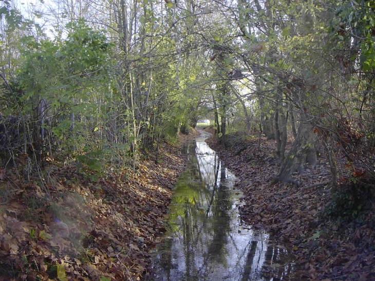 Vue sur le ruisseau  sur le chemin de la Foirouse - Aigrefeuille-d'Aunis