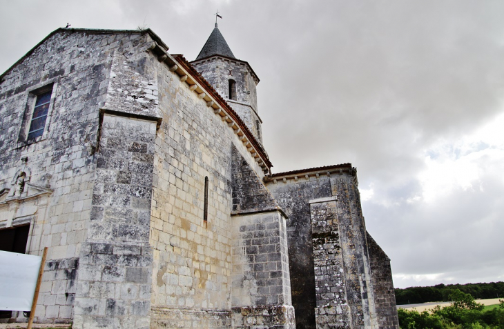  église Saint-Martin - Arces