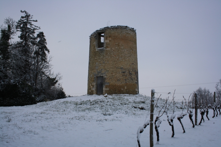 Vieux moulin  dans le vignoble Archiacais