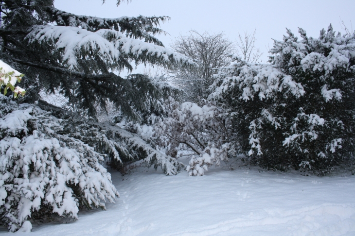 ARCHIAC sous la neige le 2/12/2010