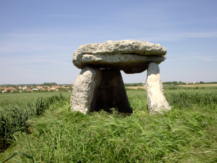 Le Dolmen, la pierre levée - Ardillières