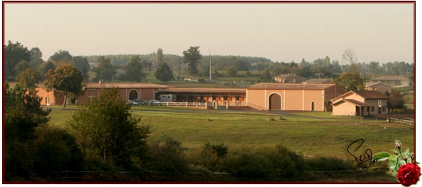 Haras de la Roseraie - Cercoux