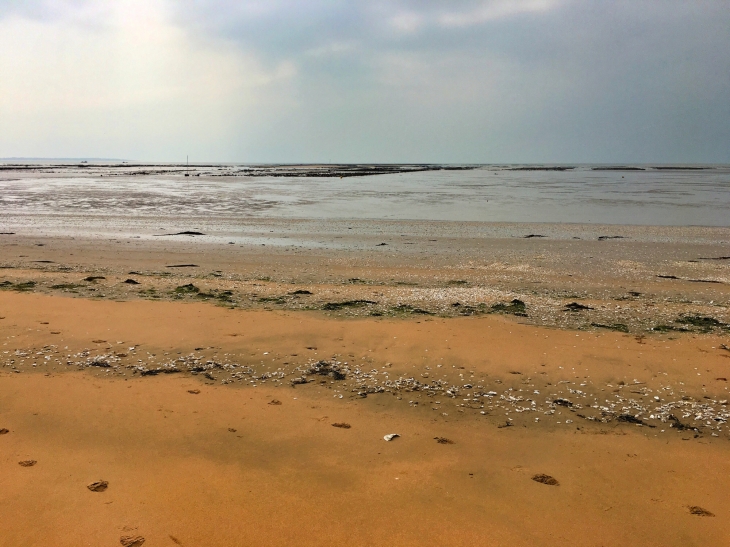 Plage des boucholeurs - Châtelaillon-Plage