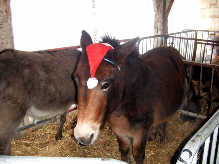 Marche de Noel pere cheval - Cozes