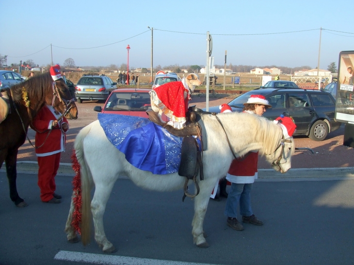 Parade de Noel Petit chien et cheval - Cozes