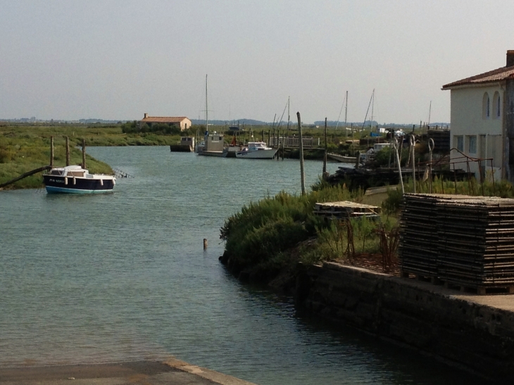 Le port ostréicole. - Étaules