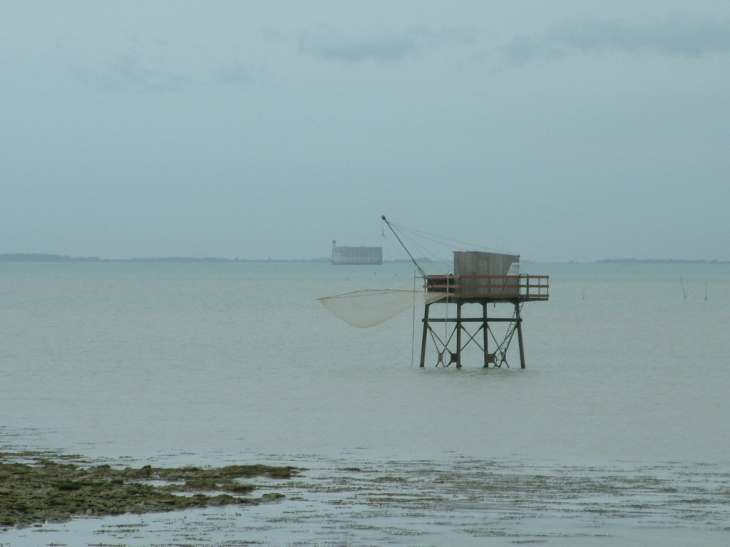 Fouras - cabane de pecheur sur pilotis et carrelet. Fort Boyard en A/F