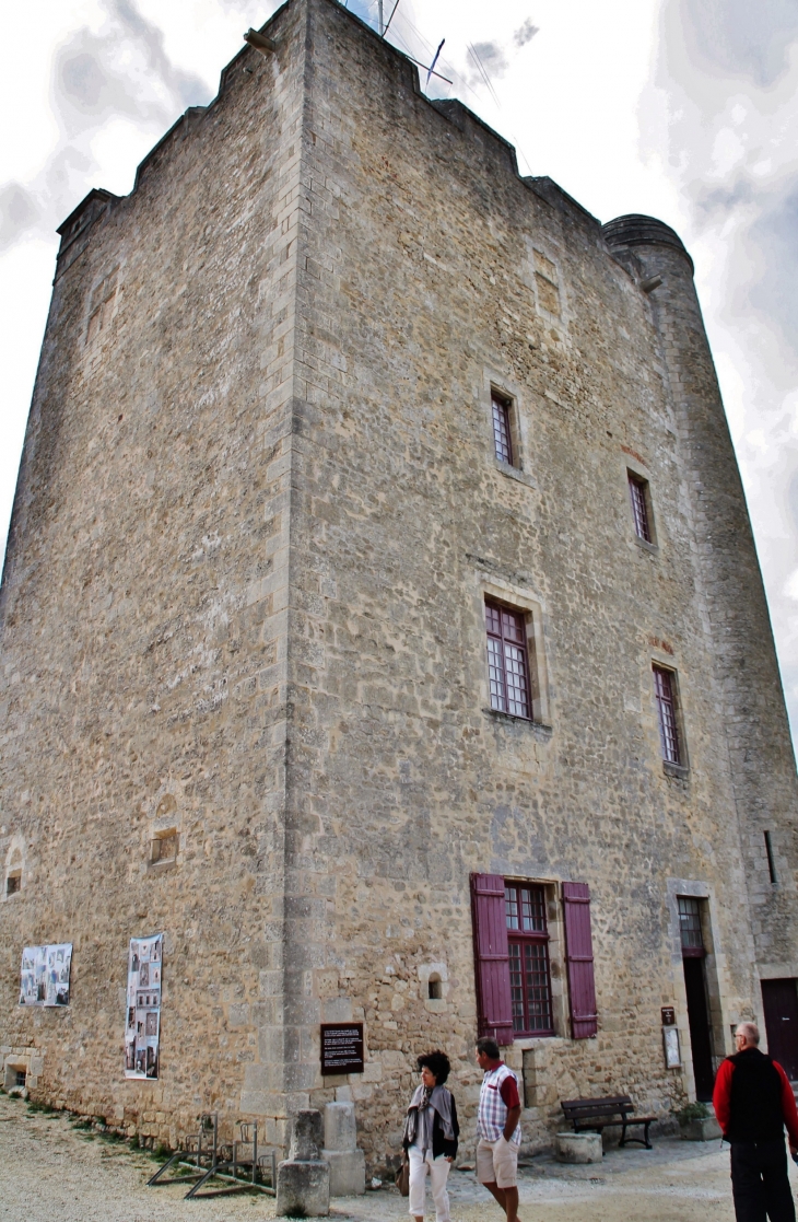 Le Château ( La Tour ) - Fouras