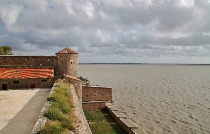 Le Château - Fouras