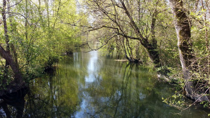 La Seugne en Charente-Maritime - Jonzac