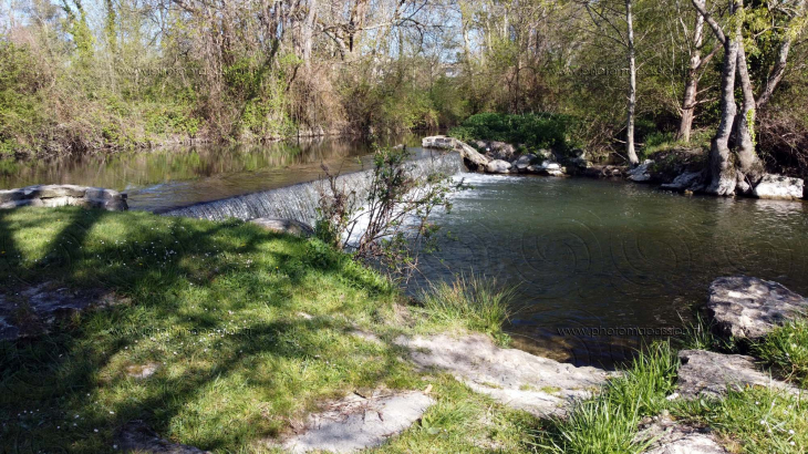 La Seugne à Jonzac (17)