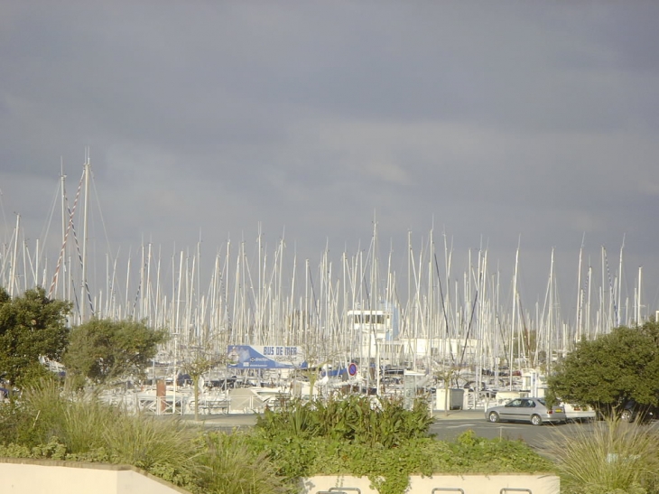 Mats des bateaux du port de plaisance des Minimes vue de la plage - La Rochelle