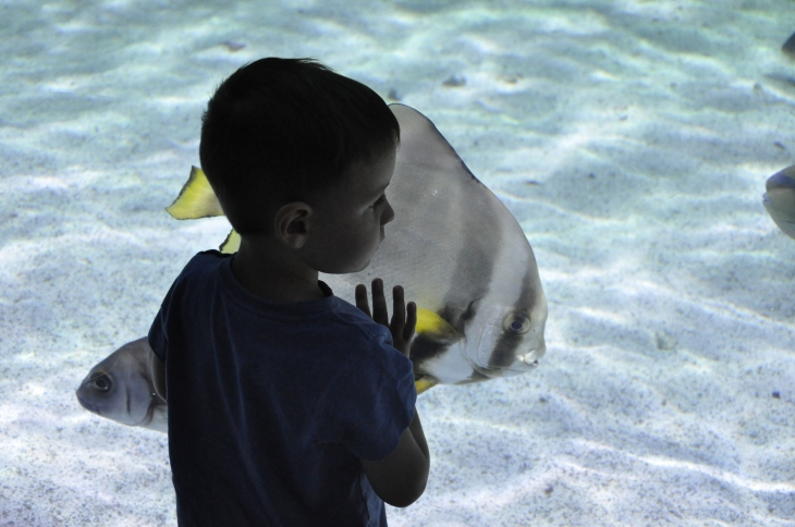 L'AQUARIUM DE LA ROCHELLE