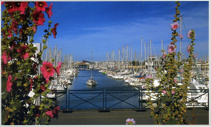 Le Port des Minimes (carte postale de 2000) - La Rochelle