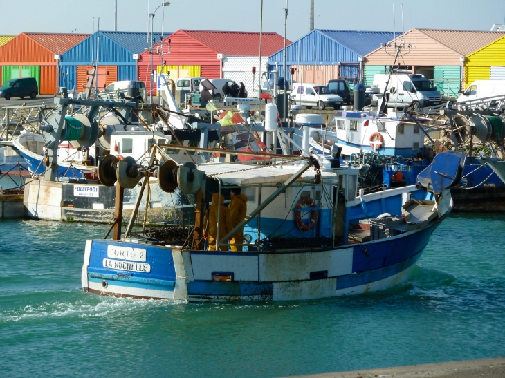 Le port de pêche. - La Rochelle