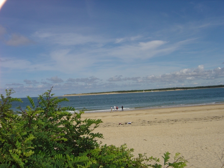 Depuis plage de l'embellie : la pointe de gatseau Ile d'Oleron - La Tremblade