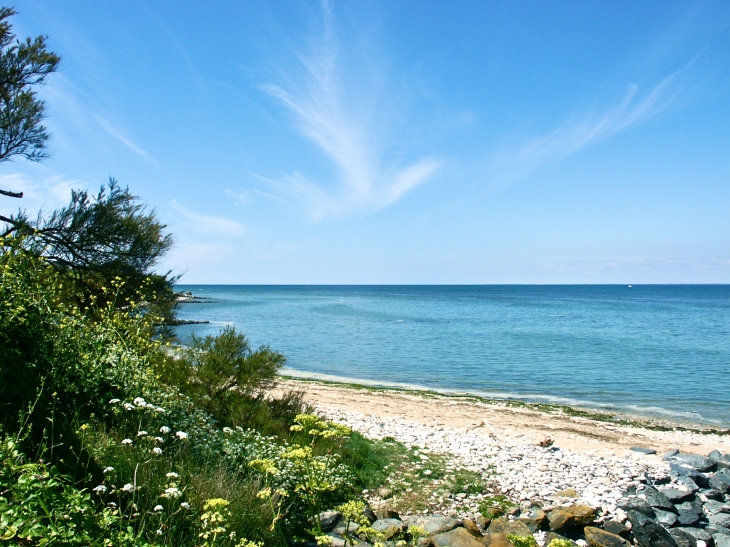 Plage de l'embellie - La Tremblade