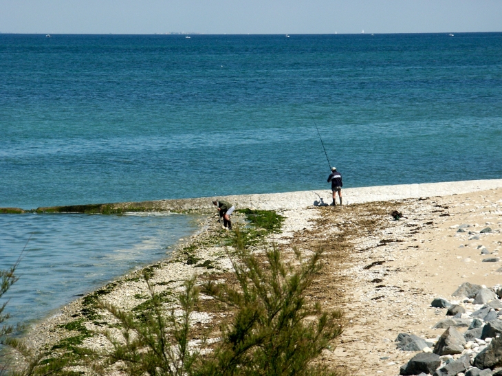 Plage de l'embellie - La Tremblade