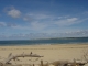 Depuis plage de l'embellie : la pointe de gatseau Ile d'Oleron