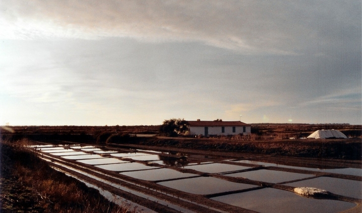 Marais salants - Loix