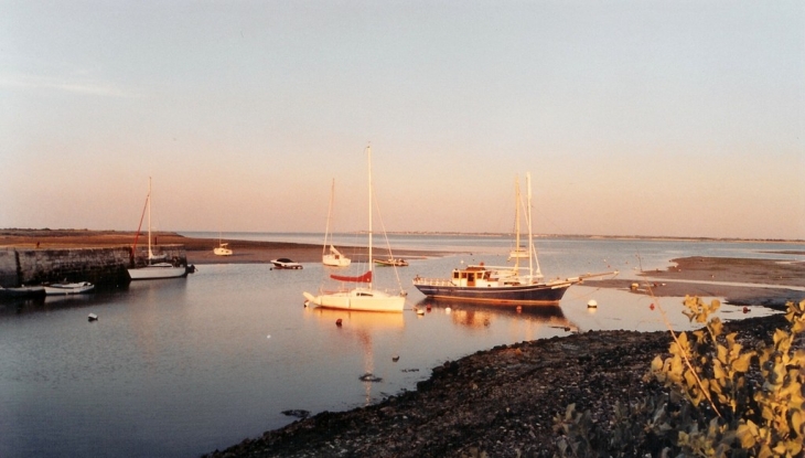 Le port - Loix