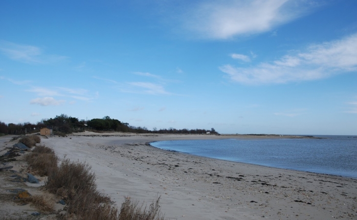 Plage et pointe du Grouin - Loix