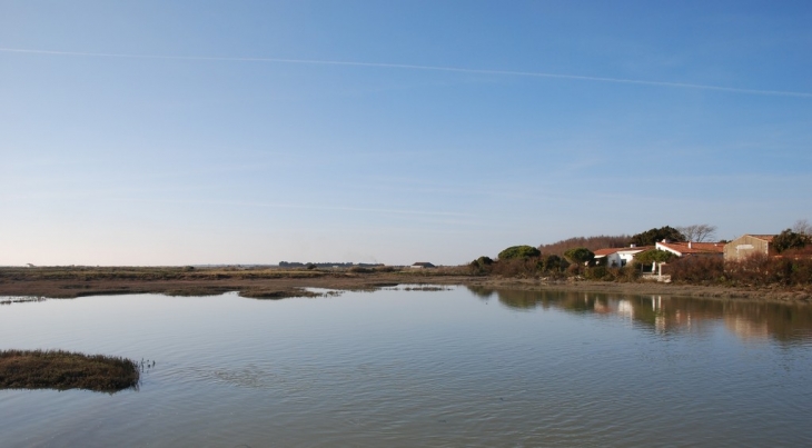 Marais de Loix