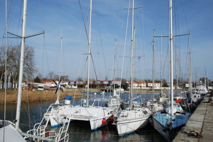 Le port - Marans