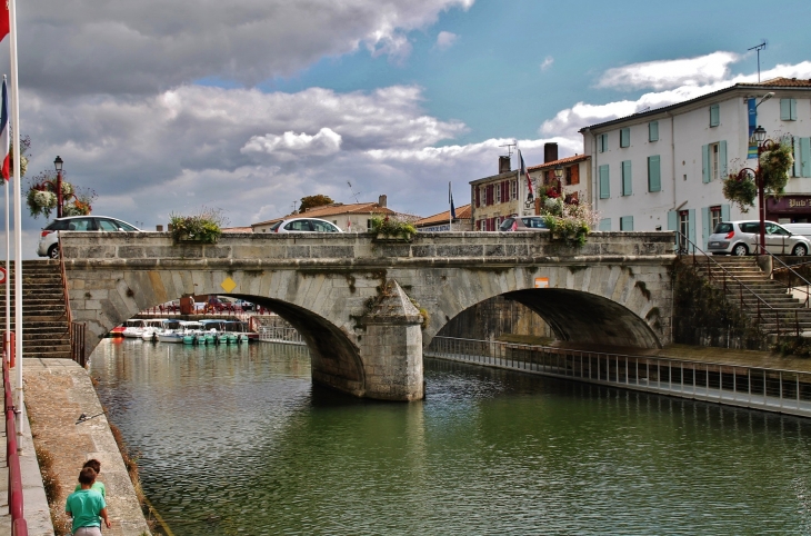 Pont sur La Sèvre Niortaise - Marans