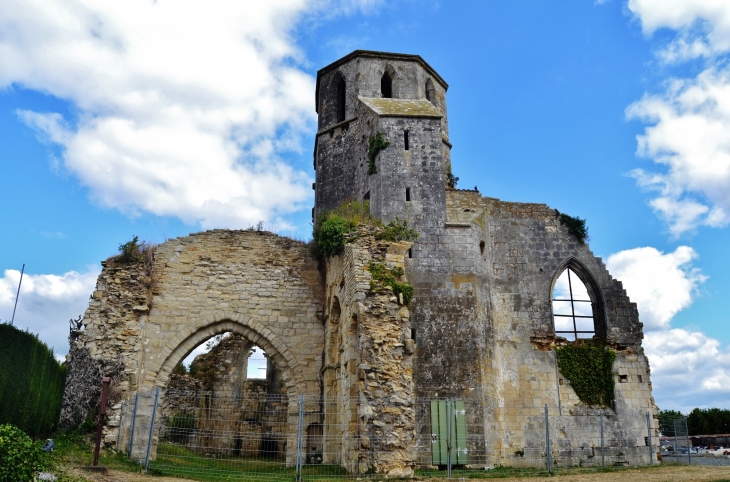 Ruines de l'église Saint-Etienne - Marans