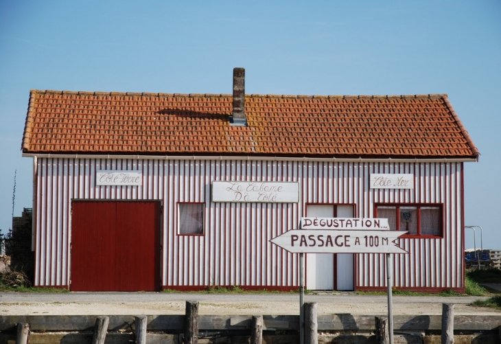 Port de La Cayenne - Marennes