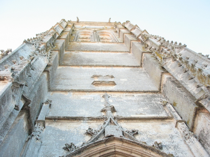 MAJESTUEUSE  FLECHE - Marennes