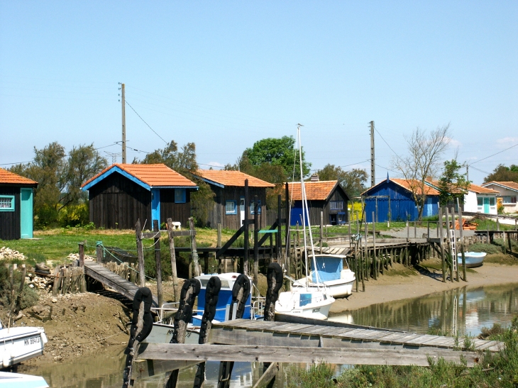 Le port de la Cayenne. - Marennes