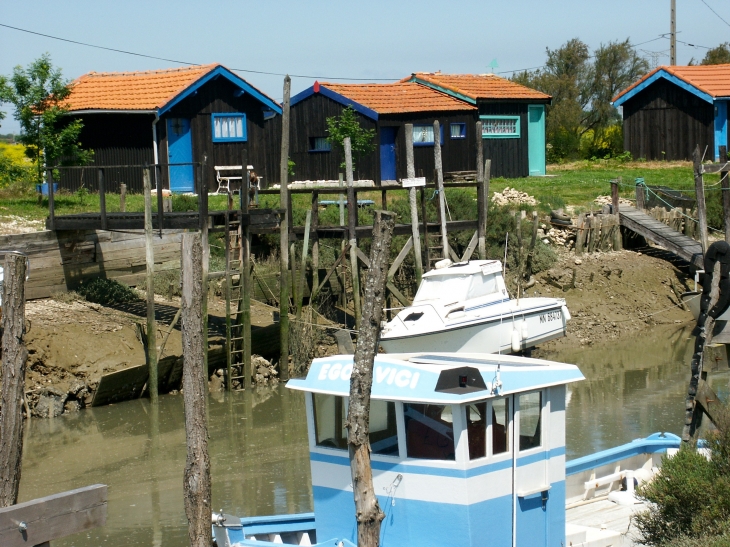 Le port de la Cayenne. - Marennes