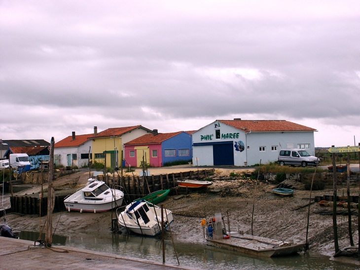 Village de la Cayenne. - Marennes