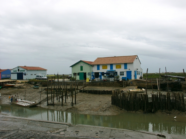 Village de la Cayenne. - Marennes