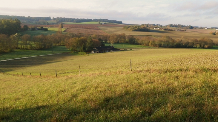 Paysage de Mérignac.