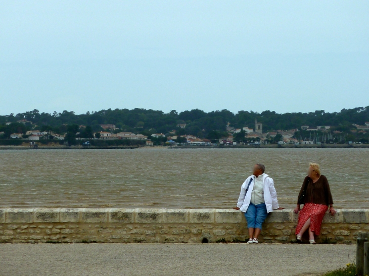 Le Village vue de Talmont - Meschers-sur-Gironde