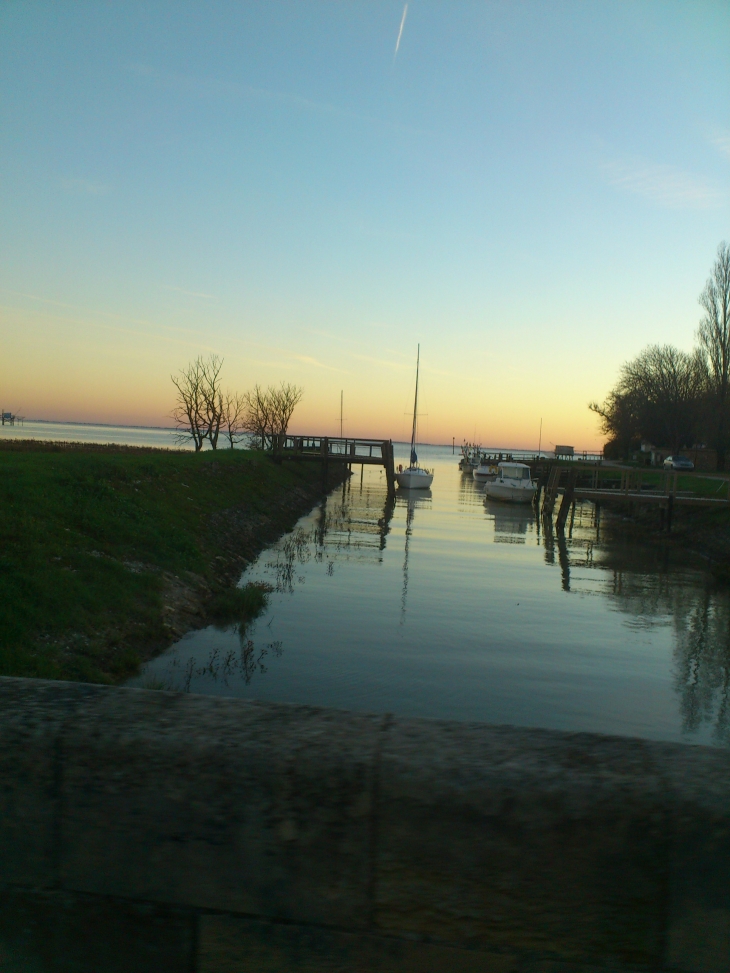 Port de meschers - Meschers-sur-Gironde