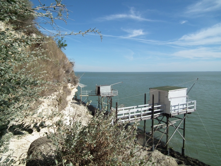 Carrelet meschers - Meschers-sur-Gironde