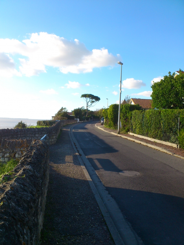  la falaise Meschers - Meschers-sur-Gironde