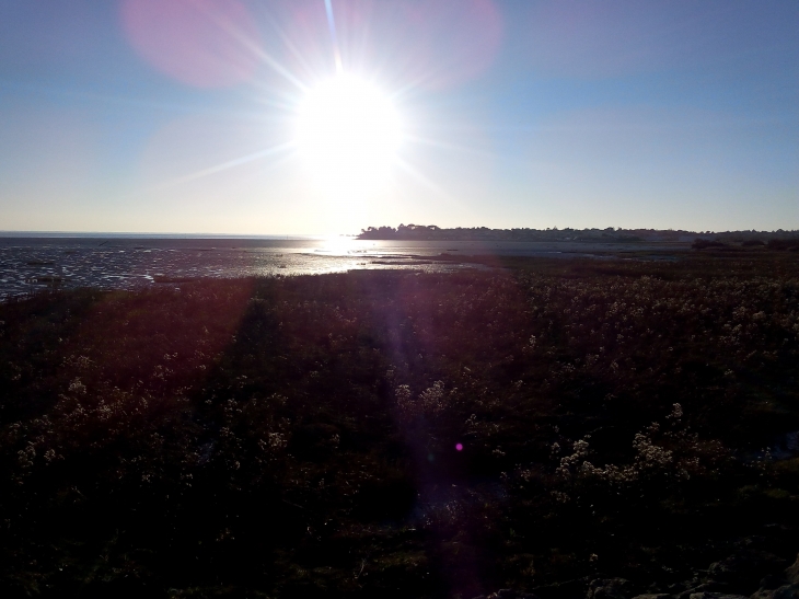 Entre Meschers et Talmont, promenade sur l'estuaire - Meschers-sur-Gironde