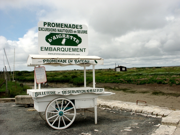 Si nous allions faire une petite excursion nautique en Seudre - Mornac-sur-Seudre